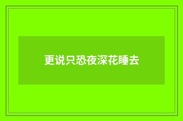 更说只恐夜深花睡去