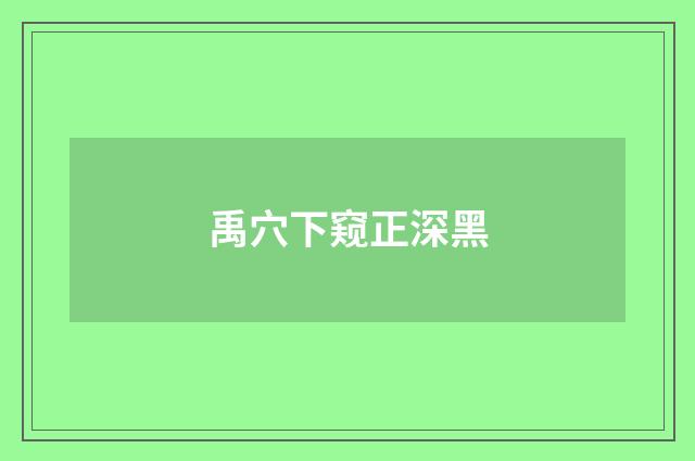 禹穴下窥正深黑