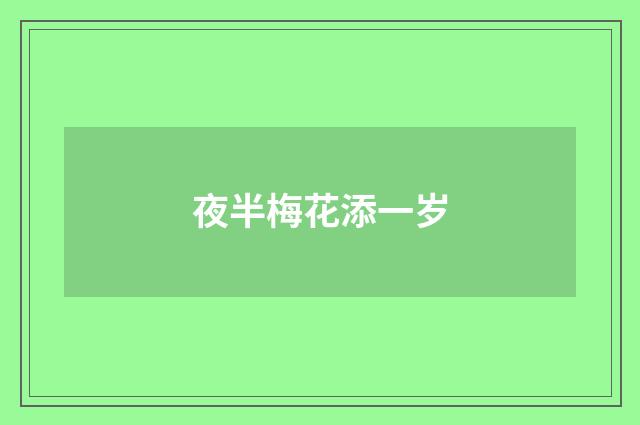 夜半梅花添一岁