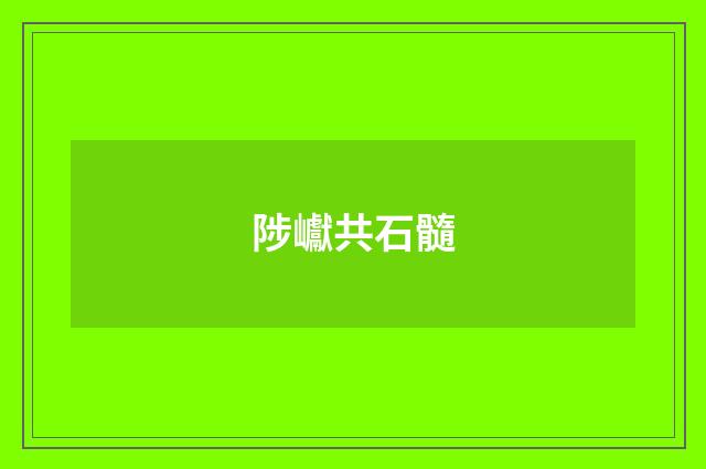 陟巘共石髓