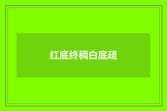 红底终稠白底疏