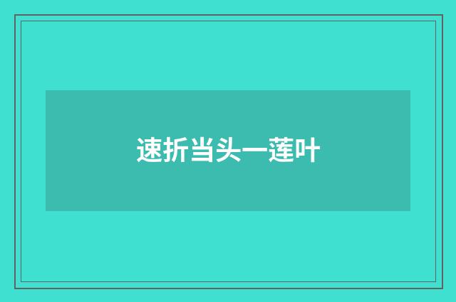 速折当头一莲叶