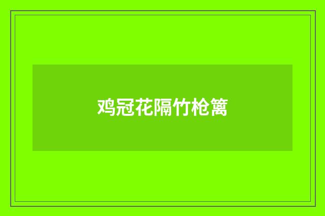 鸡冠花隔竹枪篱