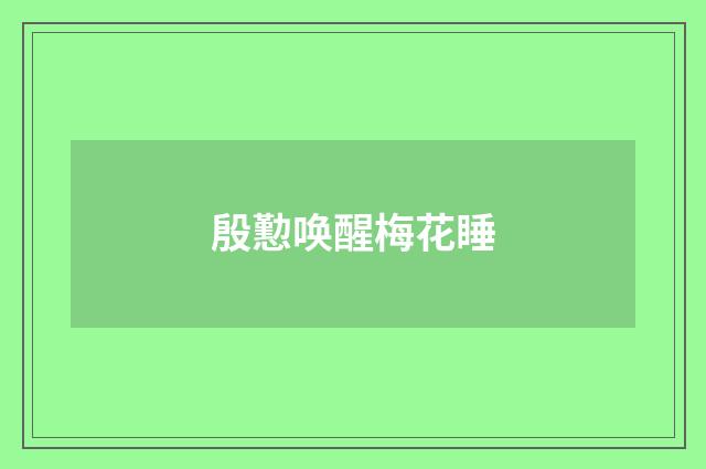 殷懃唤醒梅花睡