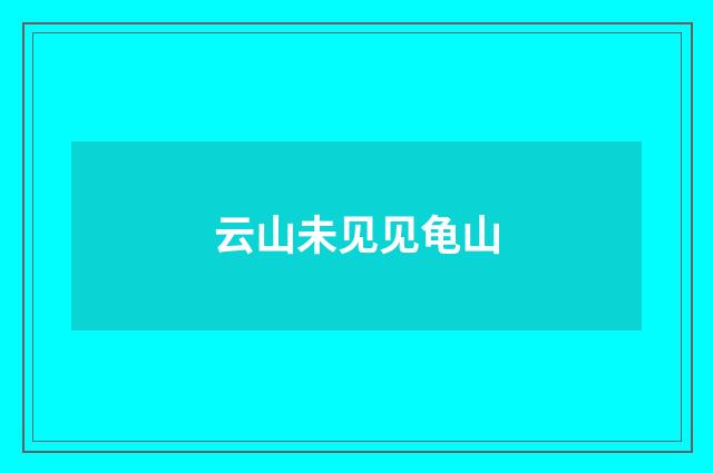 云山未见见龟山