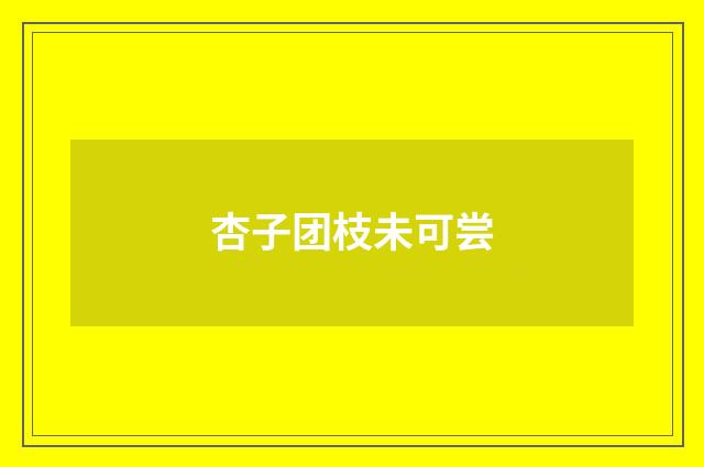 杏子团枝未可尝