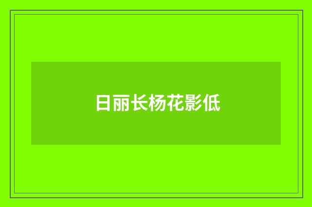 日丽长杨花影低