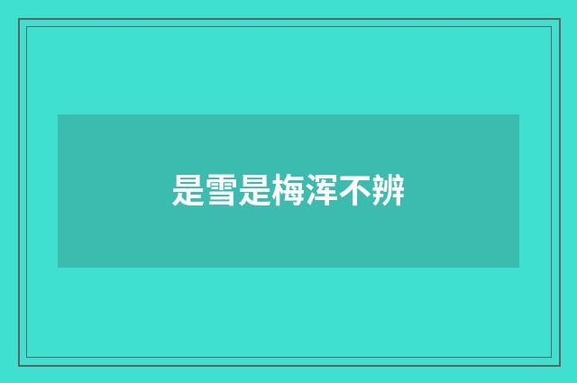 是雪是梅浑不辨
