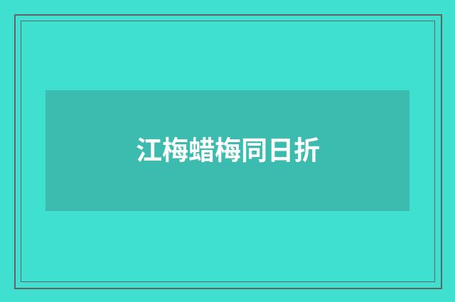 江梅蜡梅同日折
