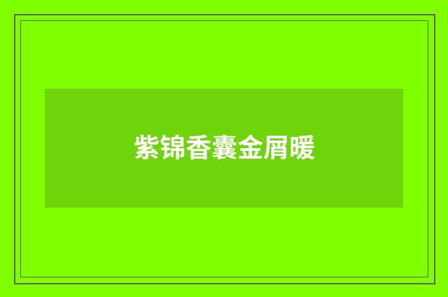 紫锦香囊金屑暖
