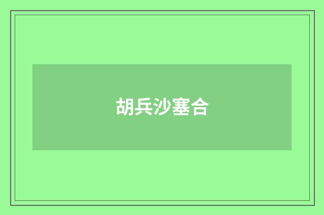 胡兵沙塞合