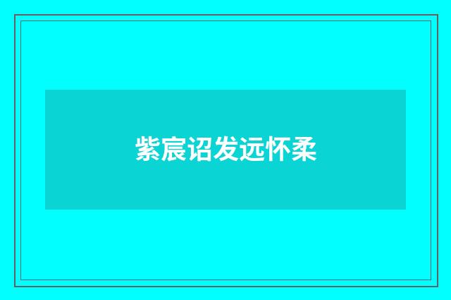 紫宸诏发远怀柔