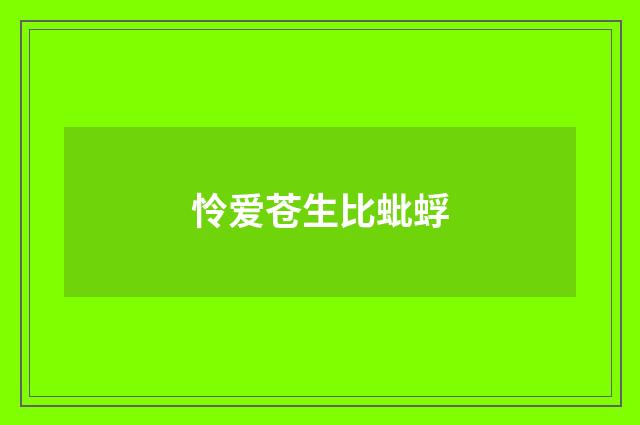 怜爱苍生比蚍蜉
