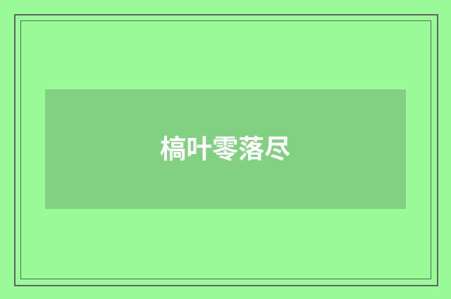 槁叶零落尽