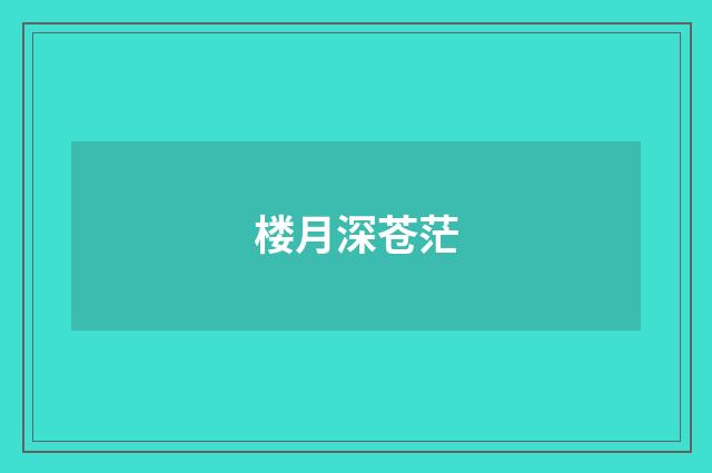 楼月深苍茫