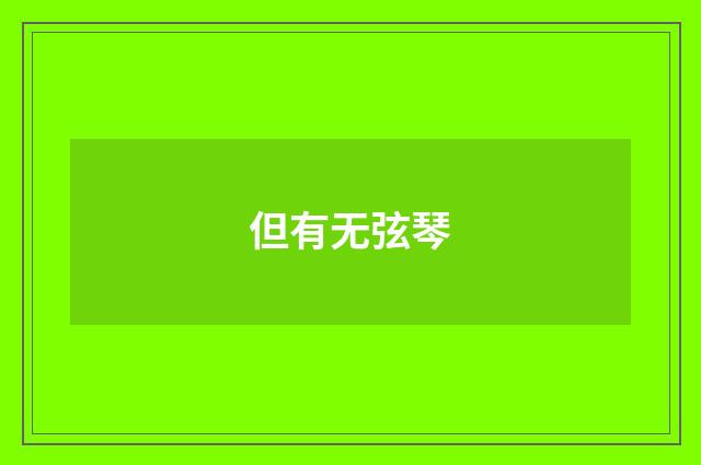 但有无弦琴
