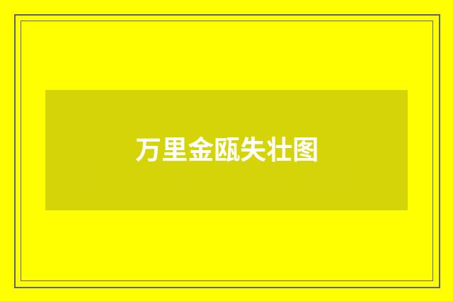 万里金瓯失壮图