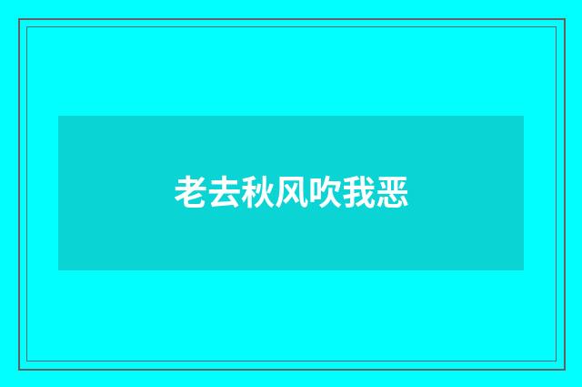 老去秋风吹我恶