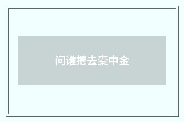 问谁攫去橐中金