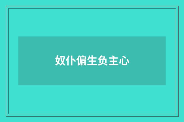 奴仆偏生负主心