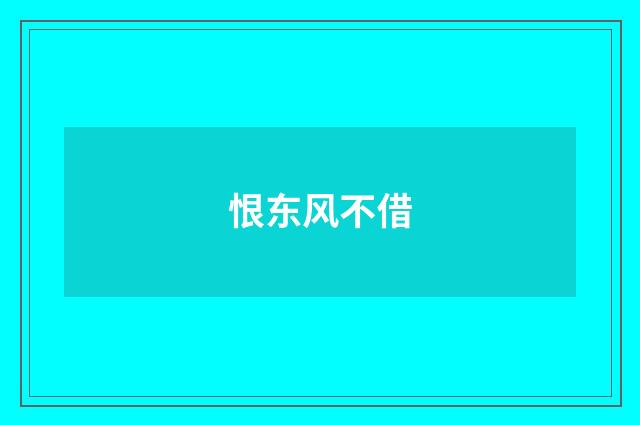 恨东风不借