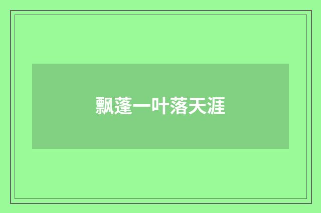 飘蓬一叶落天涯