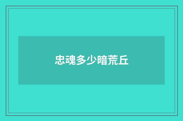 忠魂多少暗荒丘