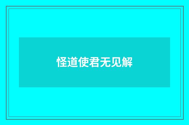 怪道使君无见解
