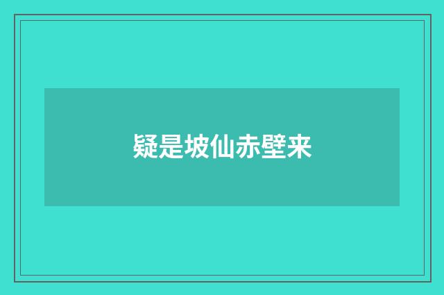 疑是坡仙赤壁来