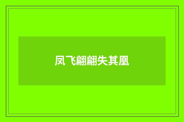 凤飞翩翩失其凰