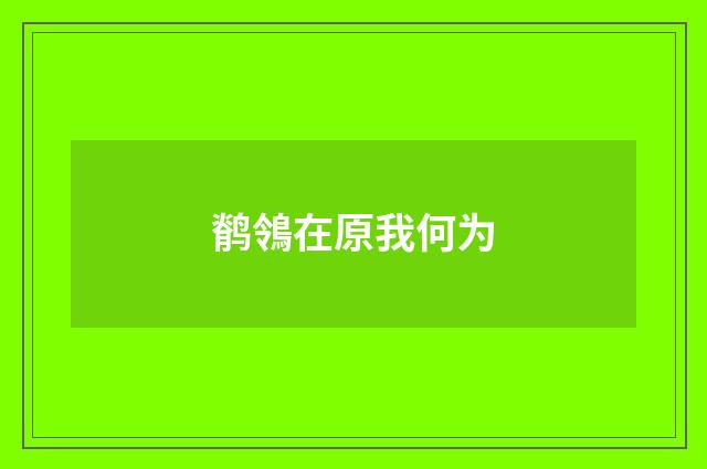 鹡鴒在原我何为