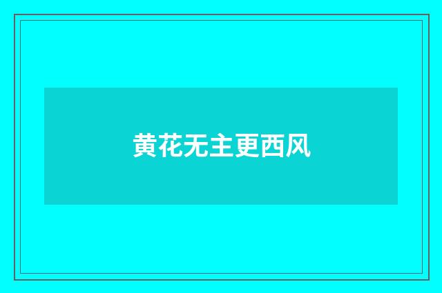 黄花无主更西风