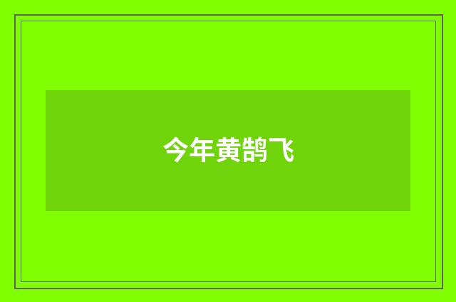 今年黄鹄飞