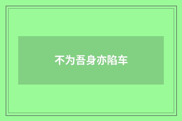 不为吾身亦陷车