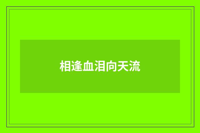 相逢血泪向天流