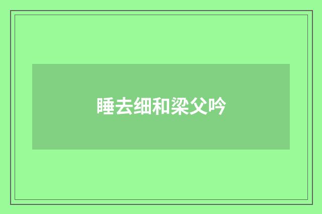 睡去细和梁父吟