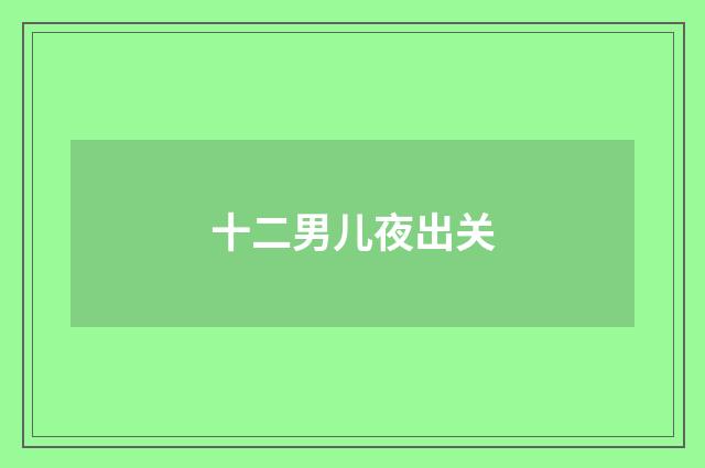 十二男儿夜出关