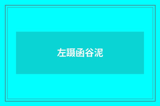 左蹑函谷泥
