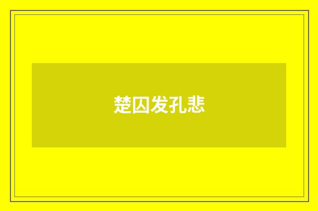 楚囚发孔悲