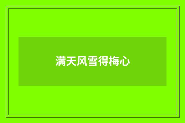 满天风雪得梅心