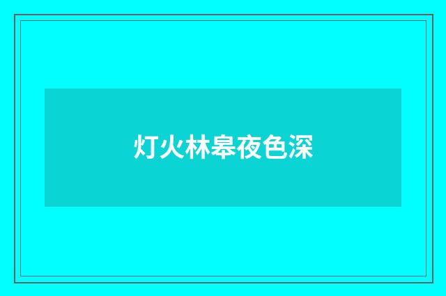 灯火林皋夜色深
