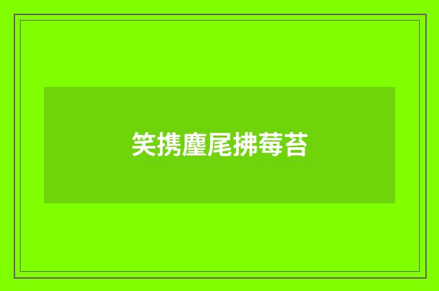 笑携麈尾拂莓苔