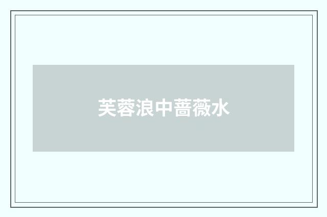 芙蓉浪中蔷薇水