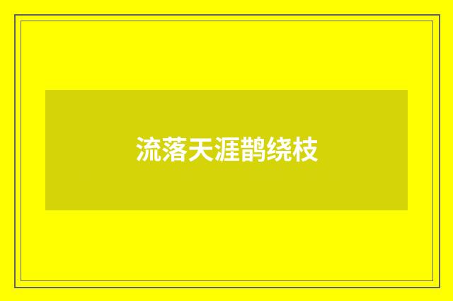 流落天涯鹊绕枝