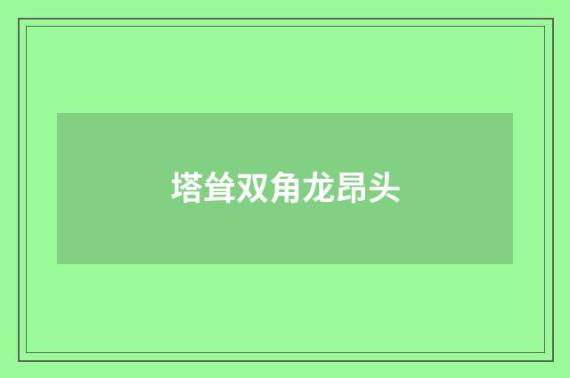 塔耸双角龙昂头