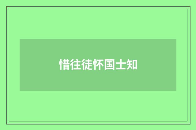 惜往徒怀国士知