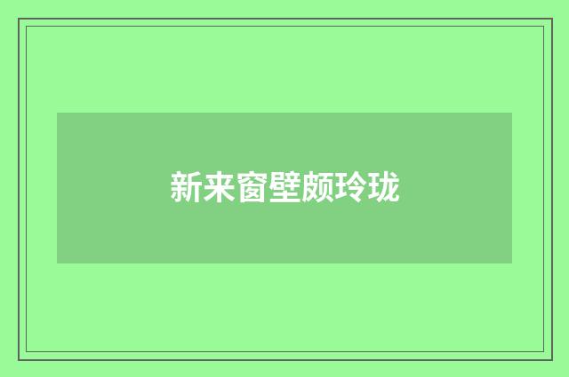 新来窗壁颇玲珑