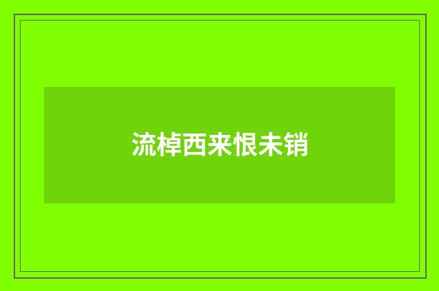 流棹西来恨未销