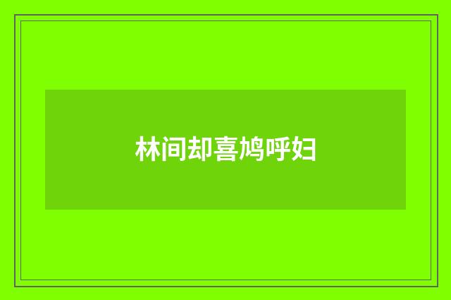 林间却喜鸠呼妇