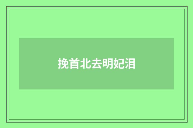 挽首北去明妃泪